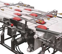 Sanitary-Conveyor-with-Meat